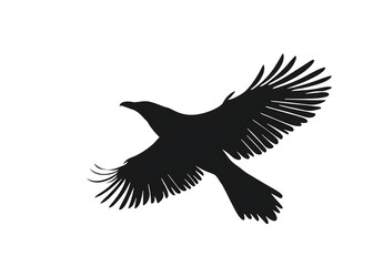 Obraz premium Black Bird in Flight Silhouette on Transparent Background