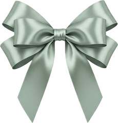 Elegant silver green satin gift bow on transparent background