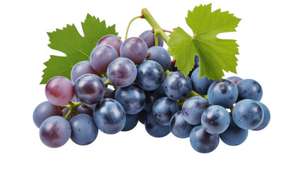 Fototapeta premium Bunch of ripe purple grapes with green leaves on a black background isolated on a transparent background