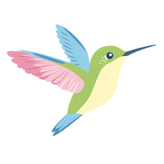 Obraz premium Colorful Hummingbird in Flight on Transparent Background