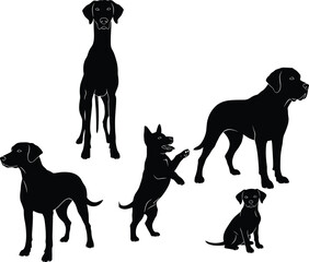 Detailed Vector Illustration Collection Perfect for Pet Shop Logo or Animal Graphic Design.