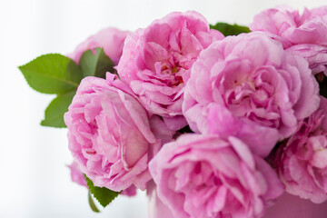 Soft Pink Garden Roses