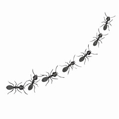 A line of worker ants marching in search of food. Vector banner