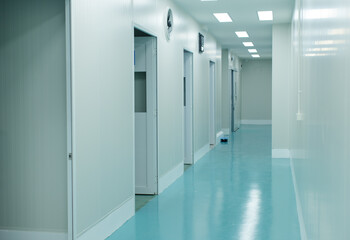 Modern lab laboratory corridor food factory production line, Bright sterile light green flooring soft white walls multiple open doors, Clean room quiet atmosphere industrial facility quality interior.