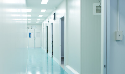 Modern lab laboratory corridor food factory production line, Bright sterile light green flooring...