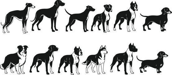 Dog illustration set, side profile silhouettes, breed comparison, black and white vector artwork, fur and tail styles, white background