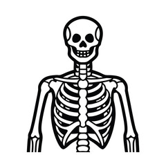 anatomy-skeleton (1).eps