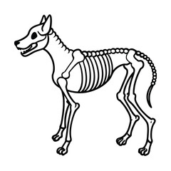 Black and white vector illustration of a wild horse silhouette on an isolated background