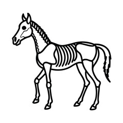 Black vector illustration of a domestic animal horse silhouette with a mane and tail