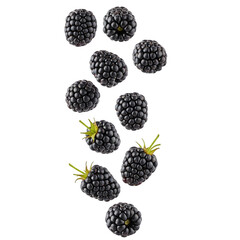 A Multiple fresh ripe blackberries are falling and scattering, clearly  for various healthy design uses, isolated on white or transparent background, PNG Format.