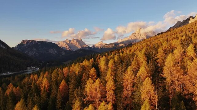 Scenic aerial view of fiery autumn colours in an alpine forest. Drone view of the Dolomites in the fall, near Lake Misurina