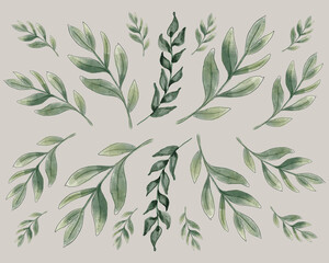 Fototapeta premium Watercolor green leaves set on gray background. Hand drawn illustration.