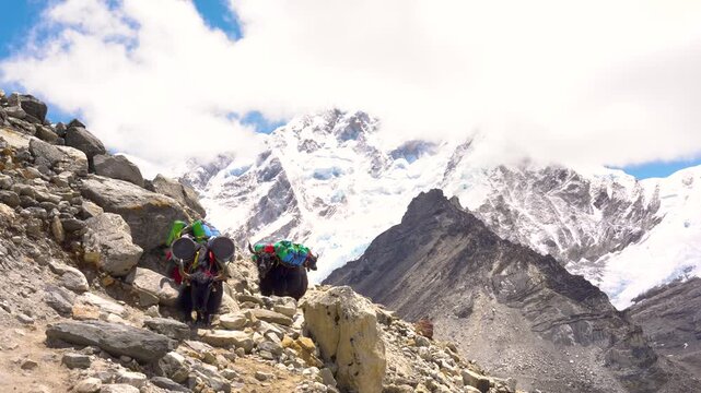 Cinematic Camera Footage of the Three Passes Trek &ndash; Mount Everest, Gokyo Ri, Mountain Life, and Glacier