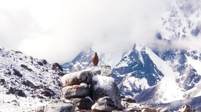 Cinematic Camera Footage of the Three Passes Trek &ndash; Mount Everest, Gokyo Ri, Mountain Life, and Glacier