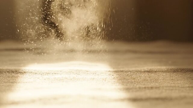 陽光舞う微粒子 亜麻布の塵 無限ループ 柔らかな光