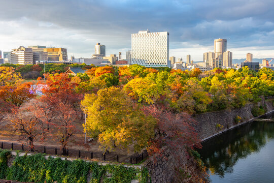 Osala cityscape seen from Osaka castle garden, Japan - Powered by Adobe