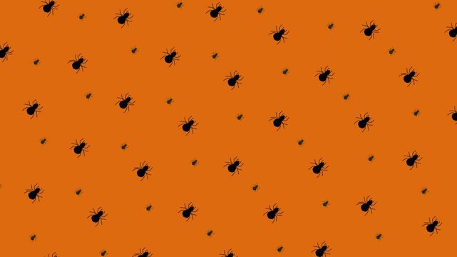 Spooky Halloween Black Spider Pattern Seamless Animation on Orange Background for Holiday