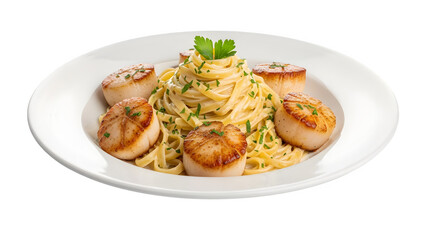 Seared Scallops with Fettuccine Alfredo, isolated on white or transparent background. PNG