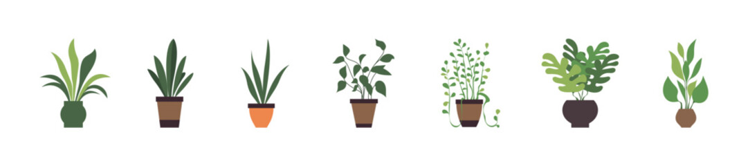 Collection of houseplants in pots for home office