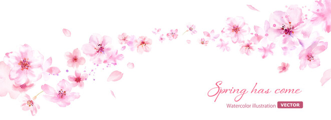 春の花：風に乗って流れる桜と花びらの背景。水彩イラスト。ルーズタッチ。（ベクター）