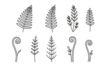 Hand drawn outline set of various fern leaves and botanical elements for nature design projects © icon_art