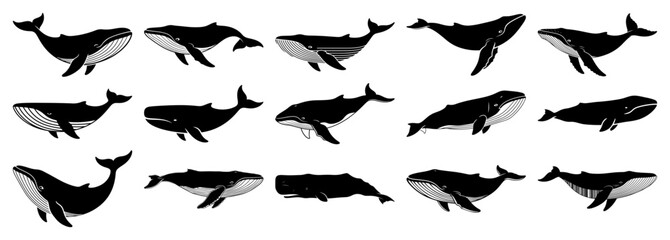 Whale Silhouettes Vector Set Collection of Marine Mammal Icons and Ocean Animal Illustrations