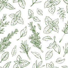 Hand drawn sketch with herbs and plants. Seamless pattern.