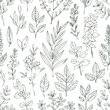 Hand drawn sketch with herbs and plants. Seamless pattern.