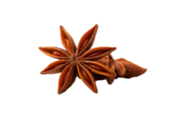 Single star anise spice with eight pointed segments on black background herb seasoning, Isolated On White Background, Png Transparent