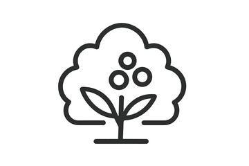 Minimalist stylized berry bush or small fruit tree with three round fruits