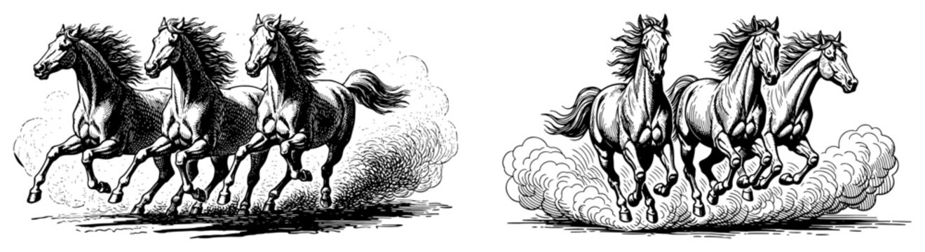 Herd of wild horses running fast vector illustration showing galloping animals with dust clouds in dynamic black and white engraving sketch style
