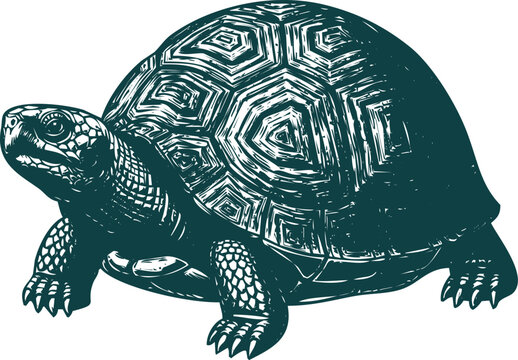 Detailed Tortoise with Hexagonal Shell Pattern in Linocut Style turtle reptile