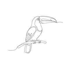 Fototapeta premium Elegant single line drawing of a toucan perched on a branch silhouette isolated on white background