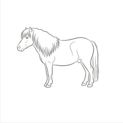 A detailed line drawing of a horse with a flowing mane and tail silhouette isolated on white background