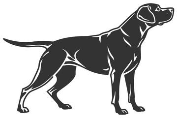 Black Labrador Retriever dog illustration standing