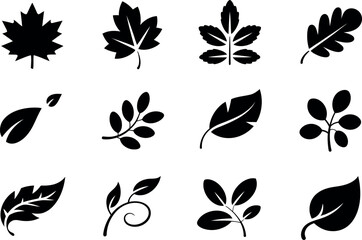 Collection of various leaf silhouettes isolated on white background
