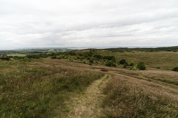 Wide, open landscape, grassy hills beneath a cloudy sky,  scattered shrubs, small trees. Natural, untouched scenery. Sense of calm and solitude. For themes of wilderness, nature, outdoor exploration
