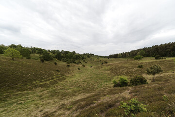 Wide, open landscape, grassy hills beneath a cloudy sky,  scattered shrubs, small trees. Natural, untouched scenery. Sense of calm and solitude. For themes of wilderness, nature, outdoor exploration
