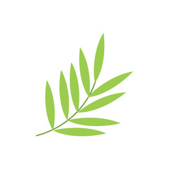 Tropical Leaf Illustration