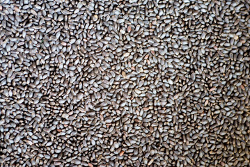Black sesame seeds background. Close up. Selective focus.