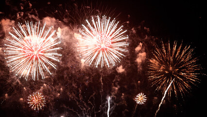 Amazing real beautiful colorful fireworks background on celebration night event for happy new year party, Abstract Multi color golden firework in the night sky