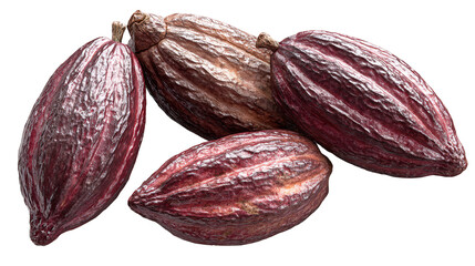 A cluster of cacao pods symbols of rich chocolate heritage and natural goodness on a stark on transparent background