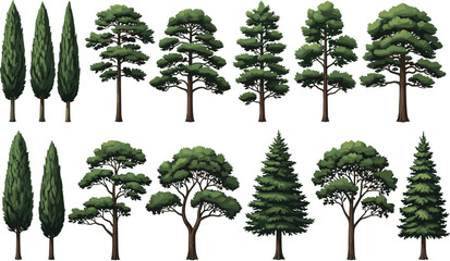 Highly Detailed Vector Set of Coniferous Trees, Including Italian Cypress and Pine Varieties, Ideal for Realistic Landscape Architecture and Nature Illustrations. © MstKhyrun