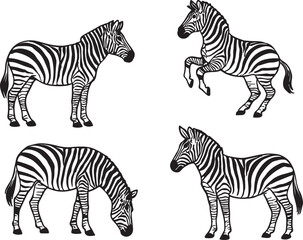 Fototapeta premium Detailed Line Art and Striped Illustration Set of Zebras in Different Poses