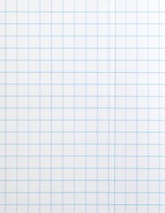 Close-up of a blank white gridded paper sheet. Blue lines form perfect squares