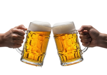 two adult caucasian hands clinking heavy steinkrug beer mugs filled with golden lager, thick froth, extreme close-up on condensation and frost, against transparent copy space. concept for beverage