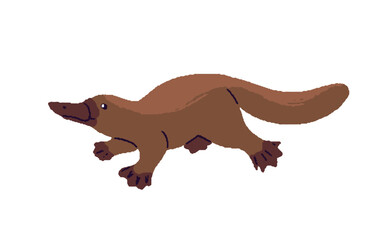 Cute platypus is swimming. Funny duckbill. Adorable Australian animal with beak. Rare species of native New Zealand fauna. Wildlife of Australia. Flat isolated vector illustration on white background