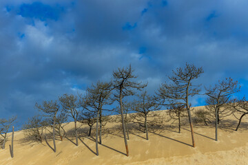 Dune of Pilat in France