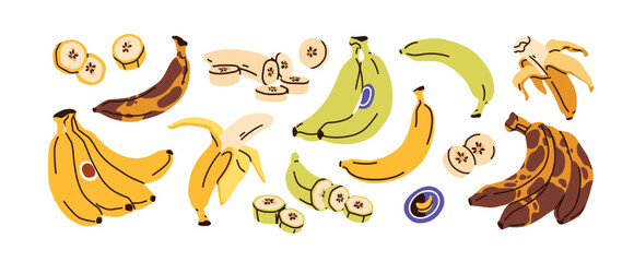 Banana set. Whole fruit, green unripe, ripe and brown spotty overripe peel, round slices, cut pieces. Tropical natural summer food, snack. Flat vector illustrations isolated on white background © Good Studio