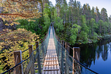 Obraz premium bridge over the river